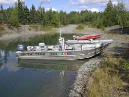 Arctic Tern used for fishing in the Kenai River