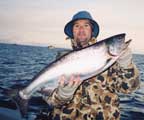 Alaska King Salmon