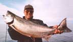 Alaska King Salmon fishing with Arctic Tern Charters
