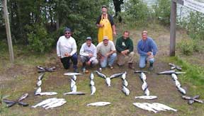 Alaska Silver Salmon and Rockfish