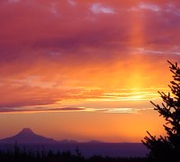 View from Linda's workshop