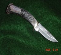 Silver Stag 		Sharp Forest