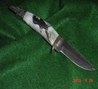 Silver Stag 		Sharp Forest Eagle