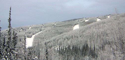 piture of ski runs